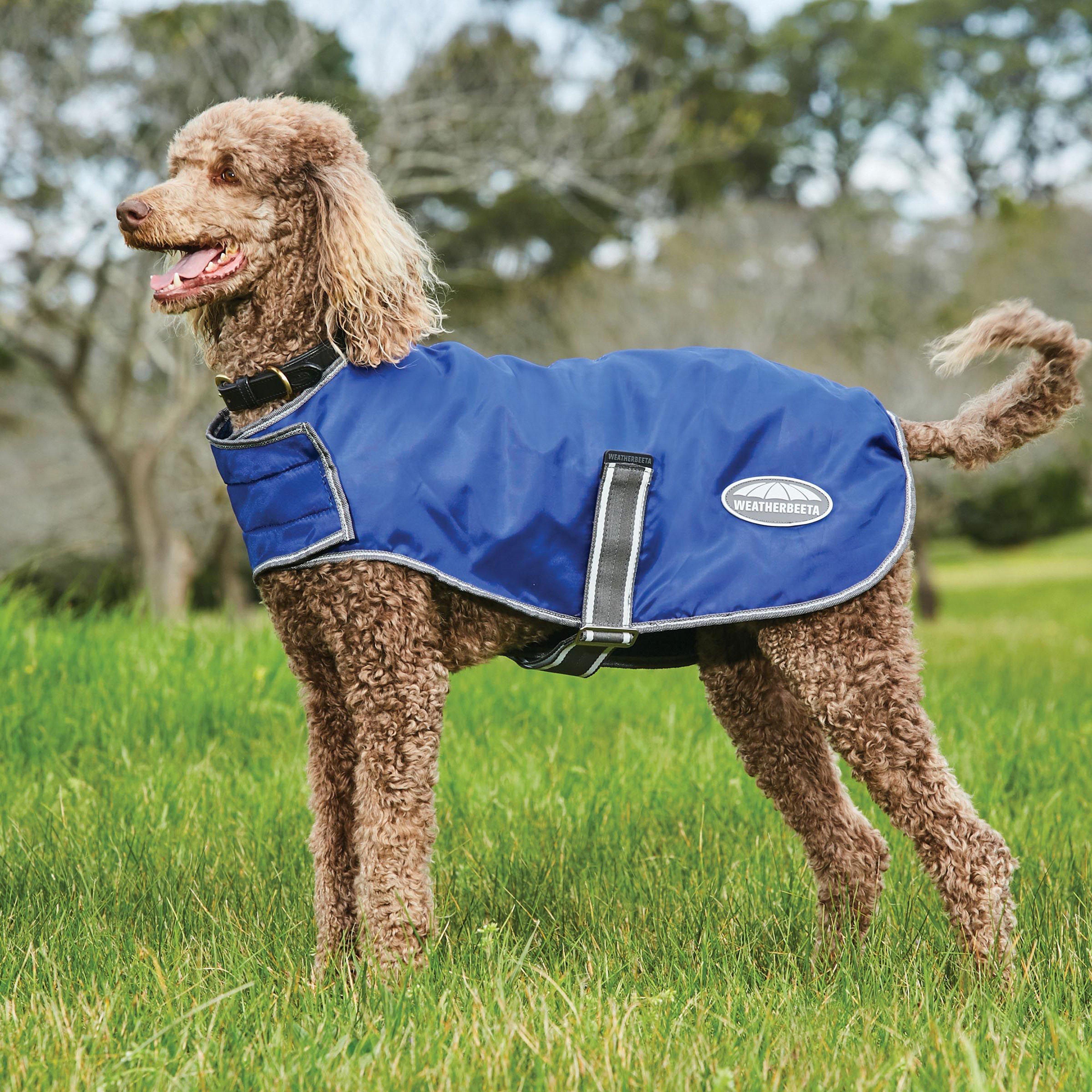 Image of Weatherbeeta Comfitec Windbreaker Free Dog Coat - Blue, Blue
