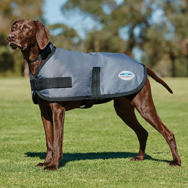 Grey WeatherBeeta Comfitec Classic Dog Coat image 1