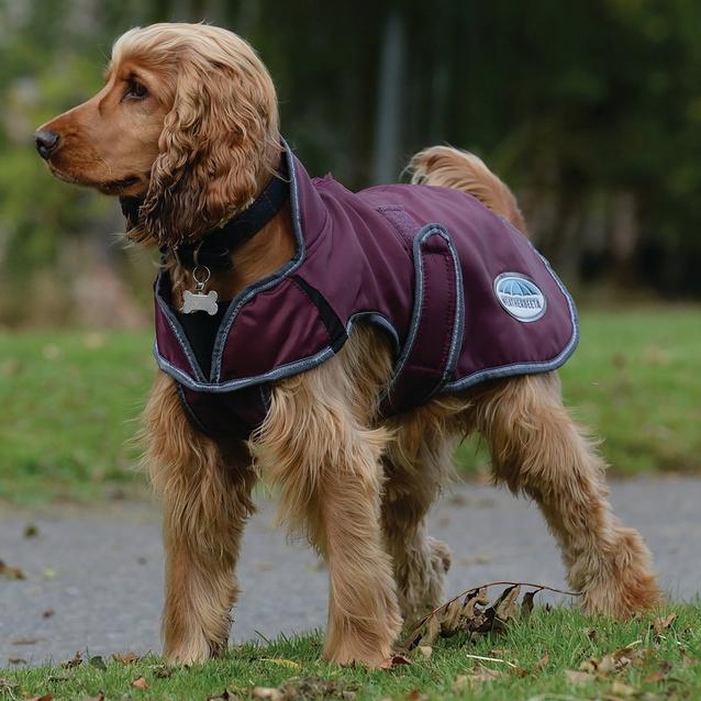 Berghaus dog coat hot sale