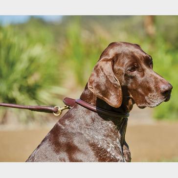 Brown WeatherBeeta Rolled Leather Dog Lead