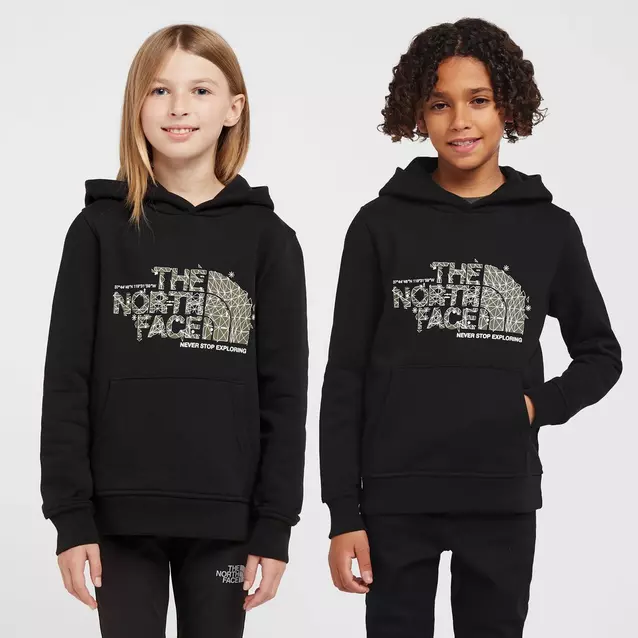 The north face fabmix overhead hoodie junior sale