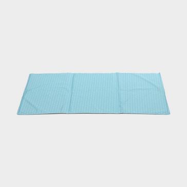 Blue Petface Cooling Pet Mat