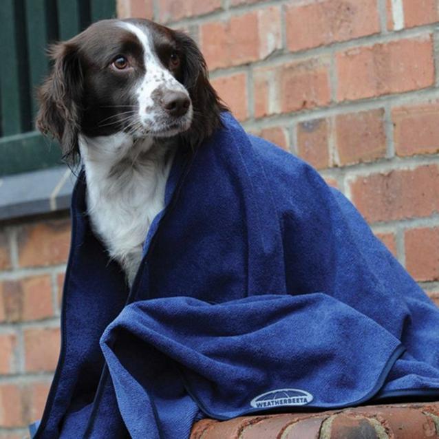 WeatherBeeta Large Dog Towel Blue Millets