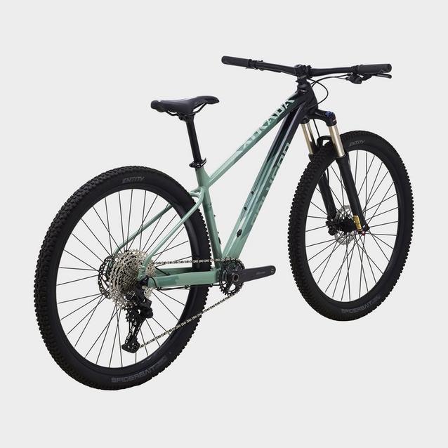 Polygon hardtail deals