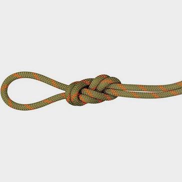 Green Mammut Alpine Dry 8.0 Rope 50m