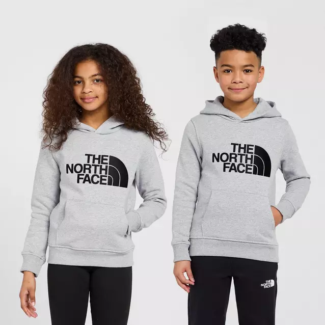 Girls north face pullover best sale