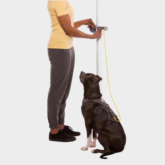 Ruffwear Hitch Hiker Lead Blacks