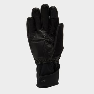 Black Sealskinz Waterproof Extreme Cold Weather Gauntlet in Black