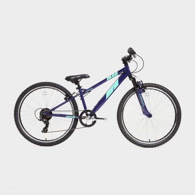 Freedom best sale fat bike