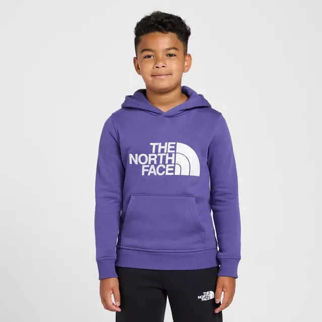 Purple north face hoodie online
