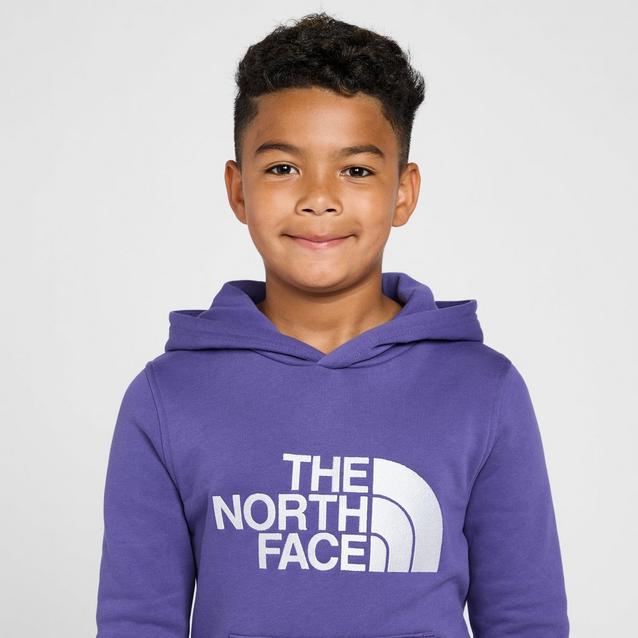 North face drew peak best sale hoodie youth