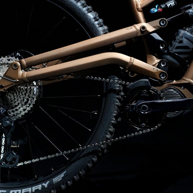 POLYGON Collosus N8E E-Bike Millets