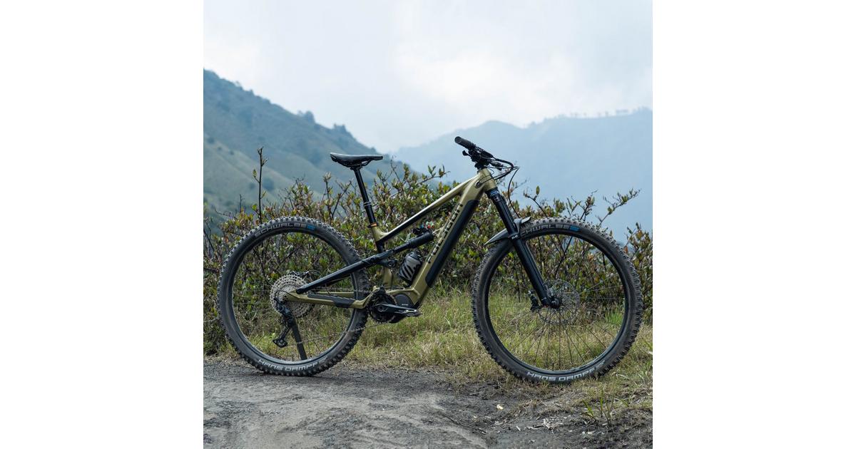 Polygon e bike sale