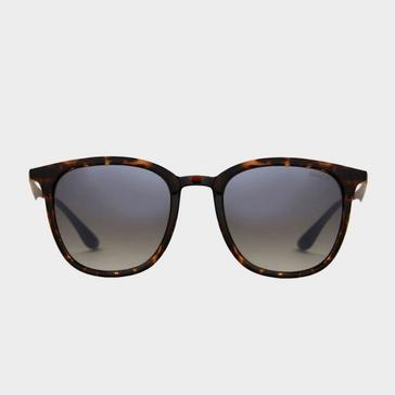 Brown Sinner Cowell Sunglasses