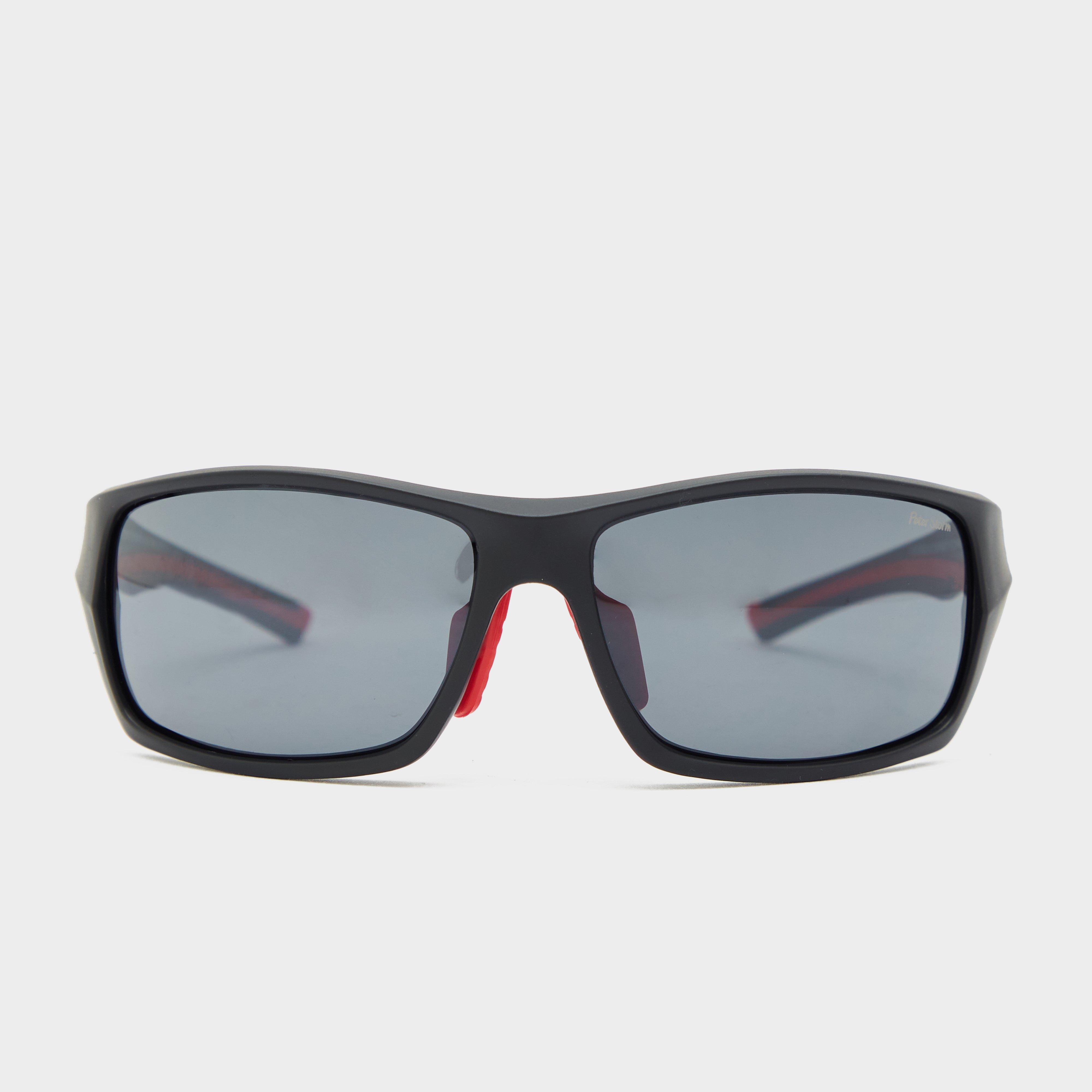 Image of Peter Storm Torquay Sunglasses - Blk/Dgy, BLK/DGY