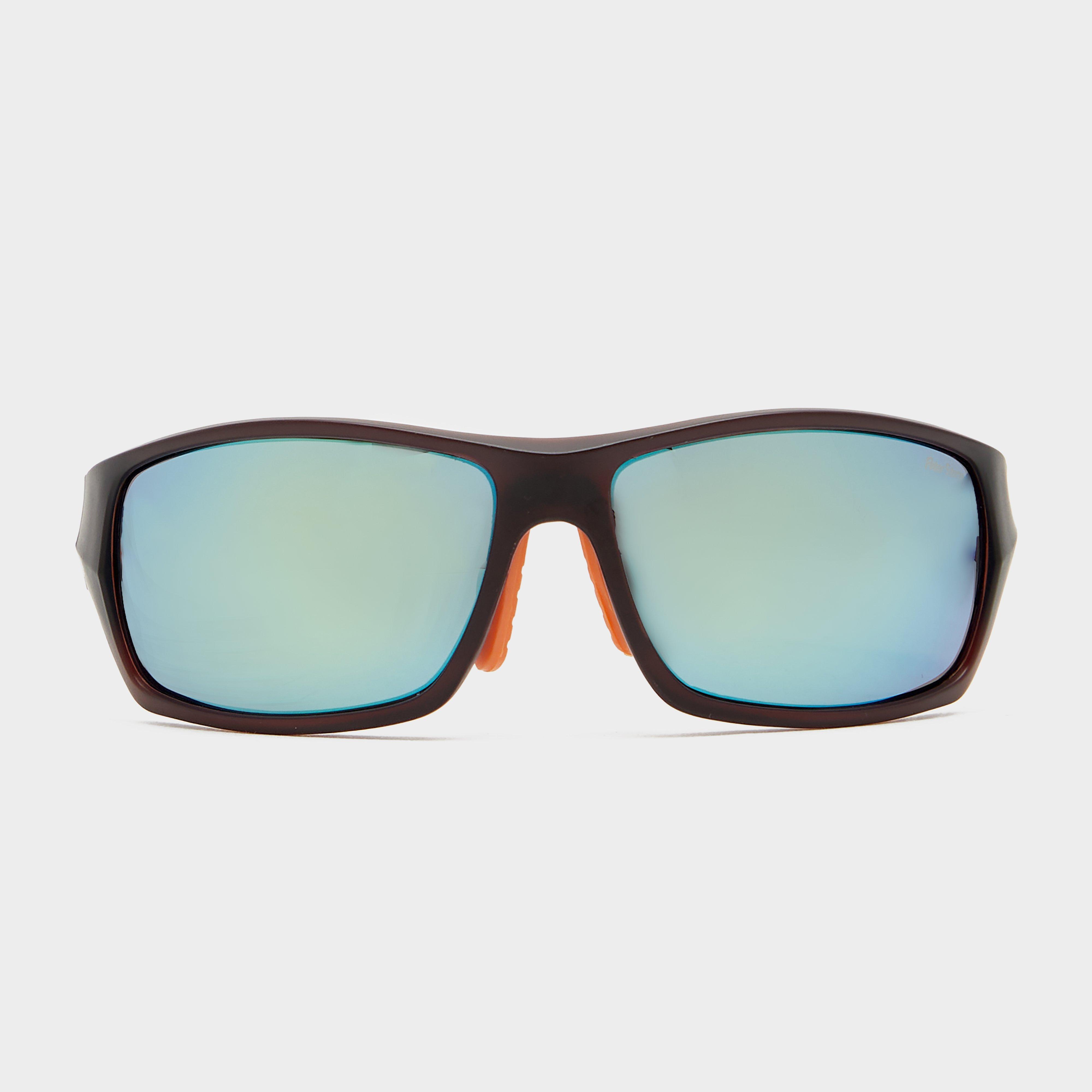 Image of Peter Storm Torquay Sunglasses - Brn/Gld, BRN/GLD