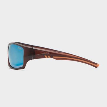 Brown Peter Storm Torquay Sunglasses