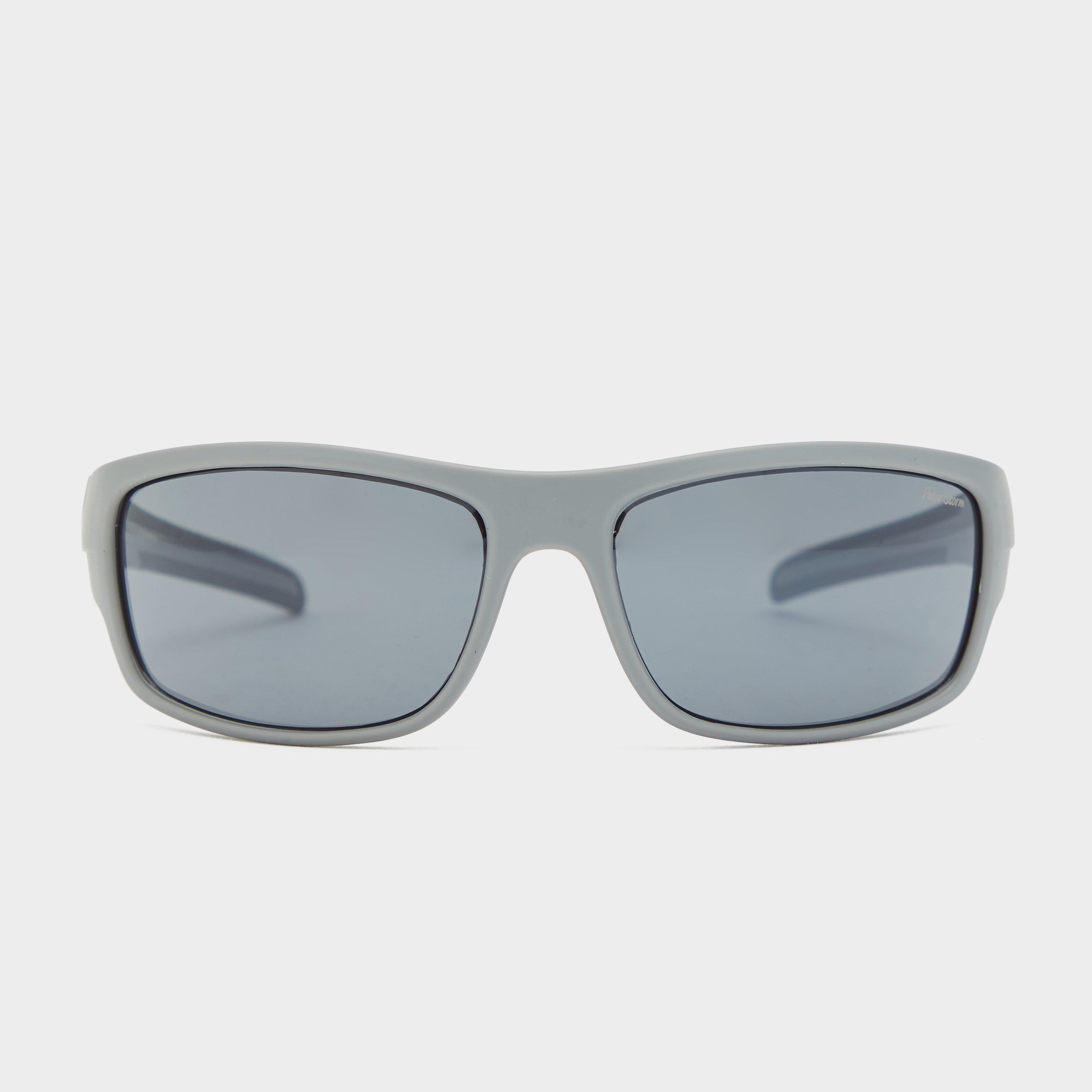 Image of Peter Storm Dartmouth Sunglasses - Dgy, DGY