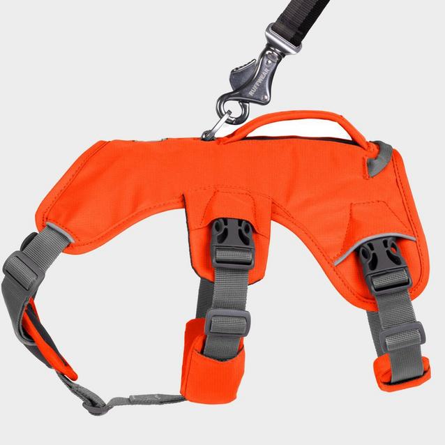 Ruffwear climbing outlet harness