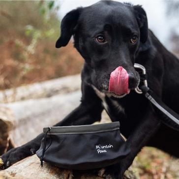 Black Mountain Paws Dog Food Bowl 