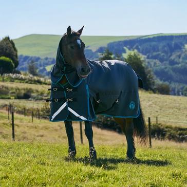 Blue Royal Scot Original 200g Light-Medium Combo Neck Turnout Rug