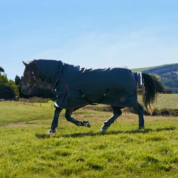 Black Royal Scot Original 100g Light-Medium Weight Combo Neck Turnout Rug Black/Wine