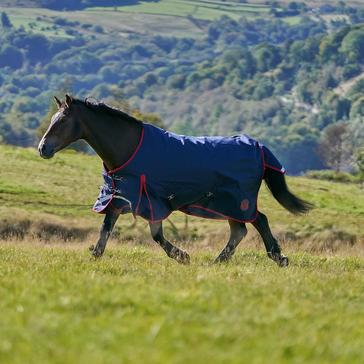 Navy Royal Scot Original 50g Lightweight Standard Neck Turnout Rug Navy/Red