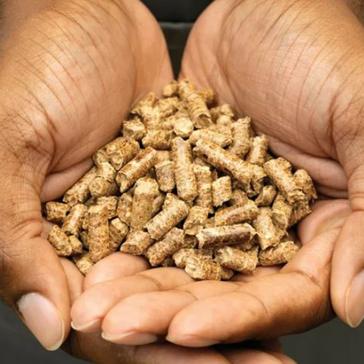 Brown Ninja Woodfire All Purpose Pellets 900g