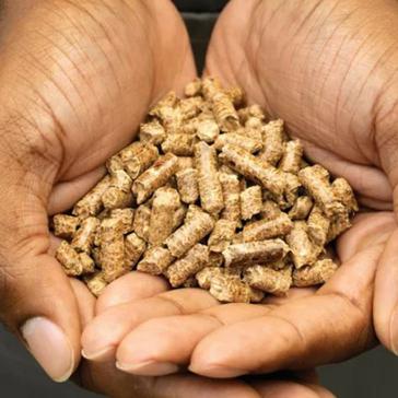 Brown Ninja Woodfire Robust Pellets 900g