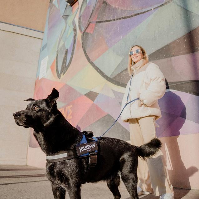 Julius K9 Original K9 Powerharness Size Millets