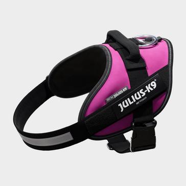 Pink Julius K9 Original K9 Powerharness Size 0