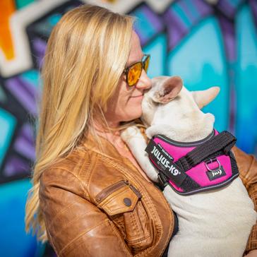 Pink Julius K9 Original K9 Powerharness Size 0