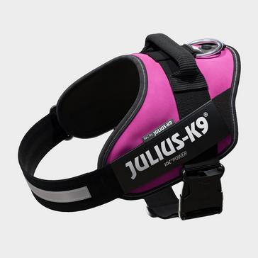 Pink Julius K9 Original K9 Powerharness Size 1