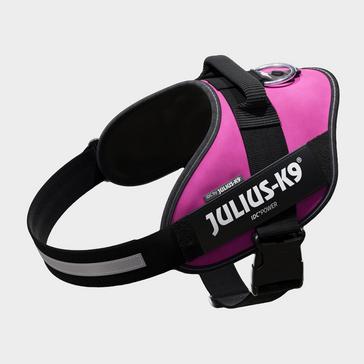 Pink Julius K9 Original K9 Powerharness Size 2