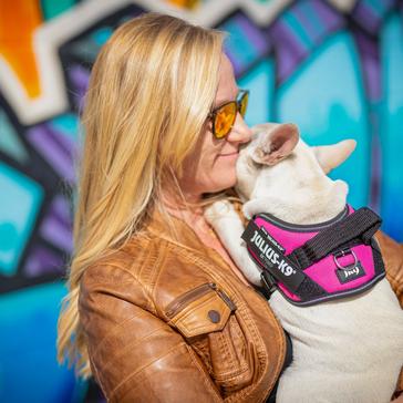 Pink Julius K9 Original K9 Powerharness Size 2