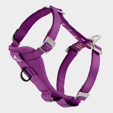 Purple Kurgo Tru-Fit Smart Dog Walking Harness