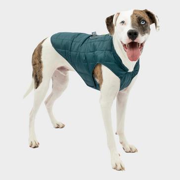 Blue Kurgo Dog Loft Jacket