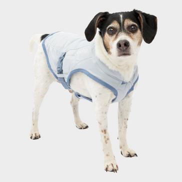 Grey Kurgo Dog Core Cooling Vest