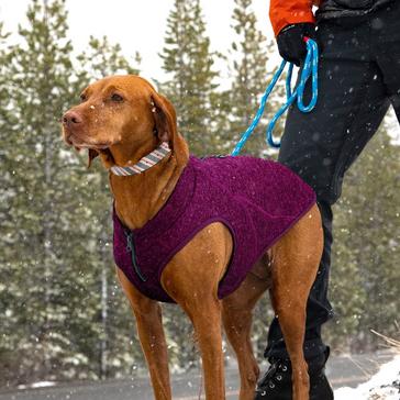 Purple Kurgo Core Dog Sweater