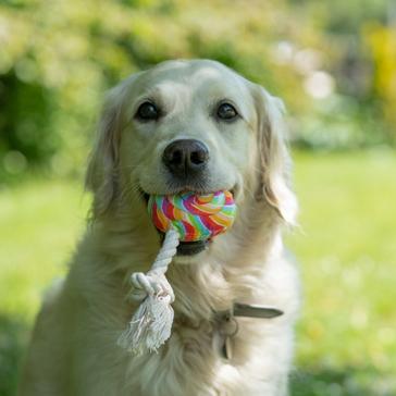 Multi Petface Lilly Lollipop Plush And Rope Dog Toy