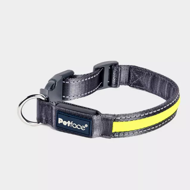 Petface collar best sale