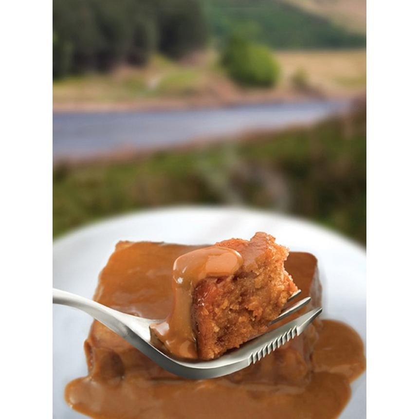 Wayfayrer Sticky Toffee Pudding Ready-to-Eat Camping Food Review