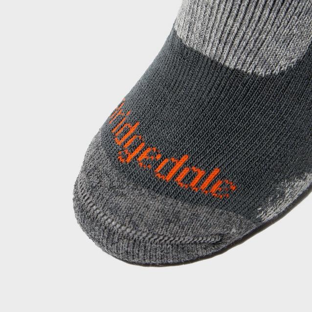 Bridgedale Men's Hike Midweight Merino Endurance Boot Sock GO