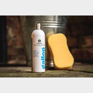  Carr and Day and Martin Gallop Extra Strength Shampoo 