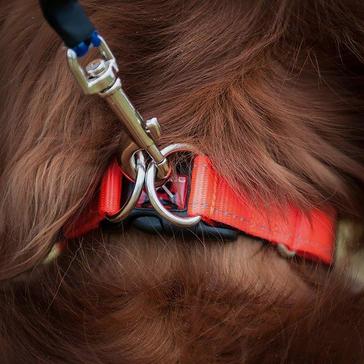 Black EzyDog Double Up Dog Collar (Medium)