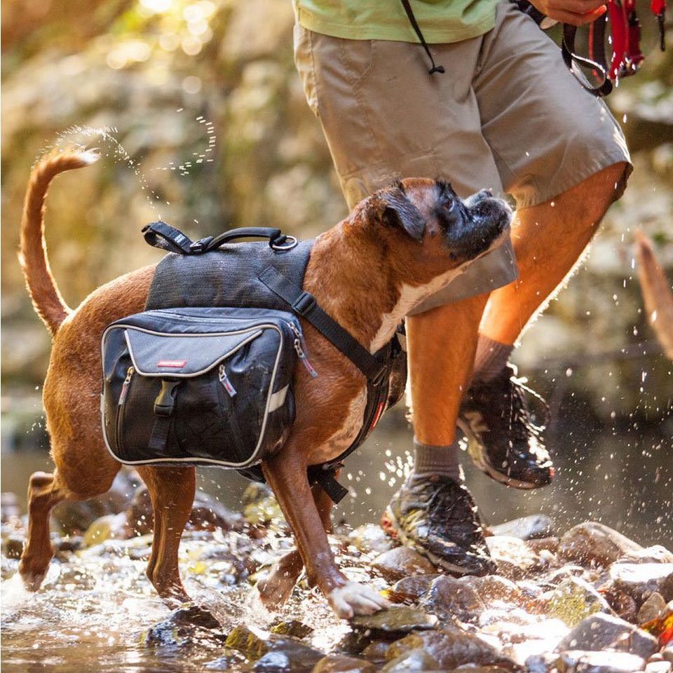 Ezydog Summit Dog Backpack L GO Outdoors