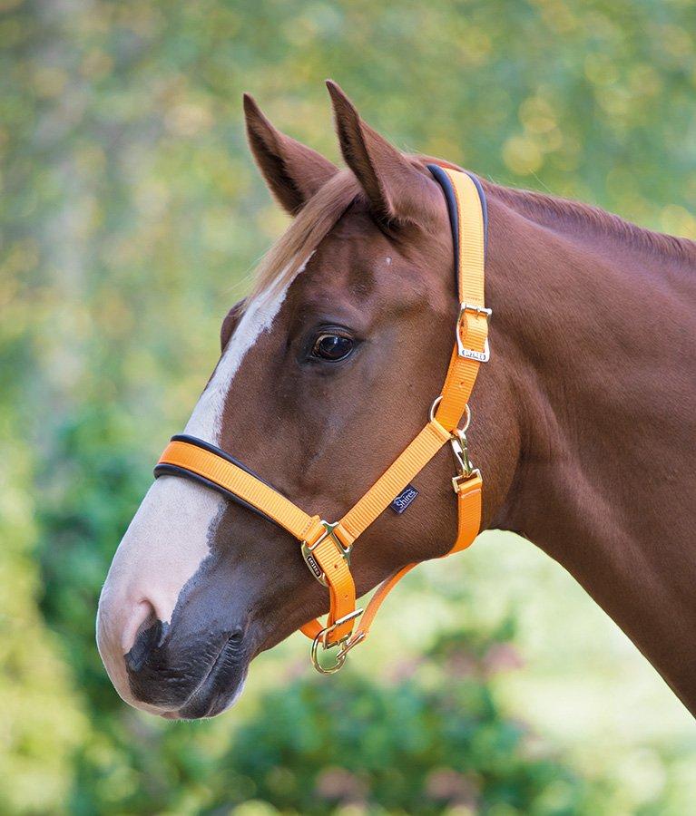 shires saddle panniers