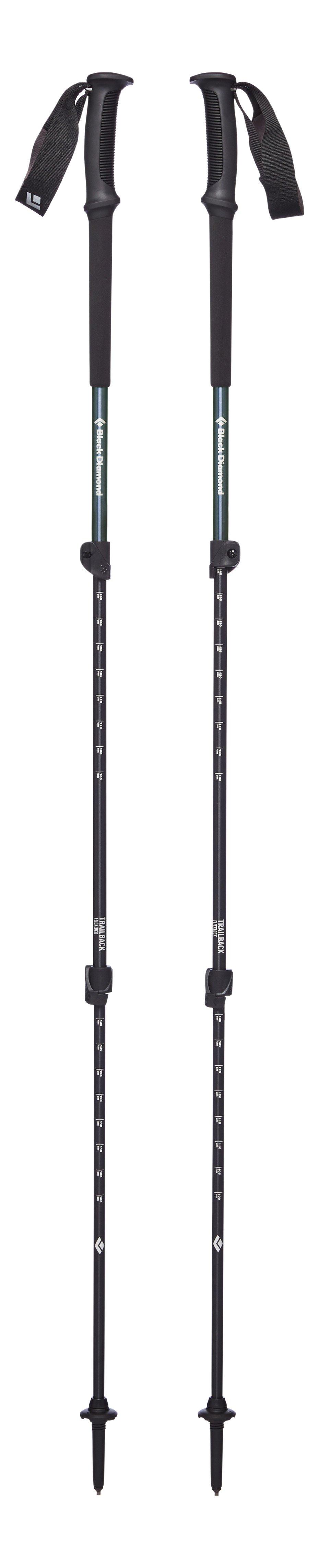 go outdoors walking stick