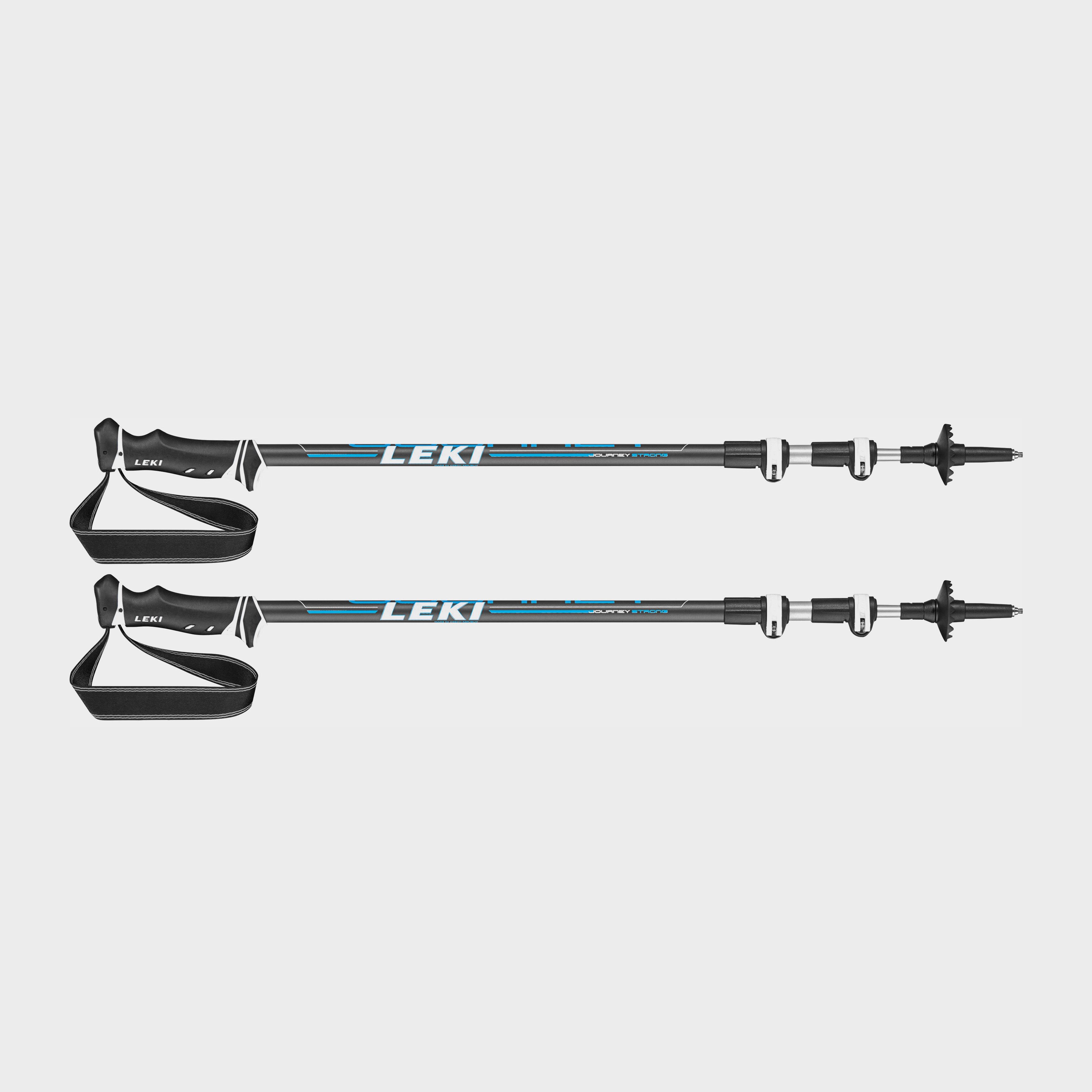 go outdoors walking stick