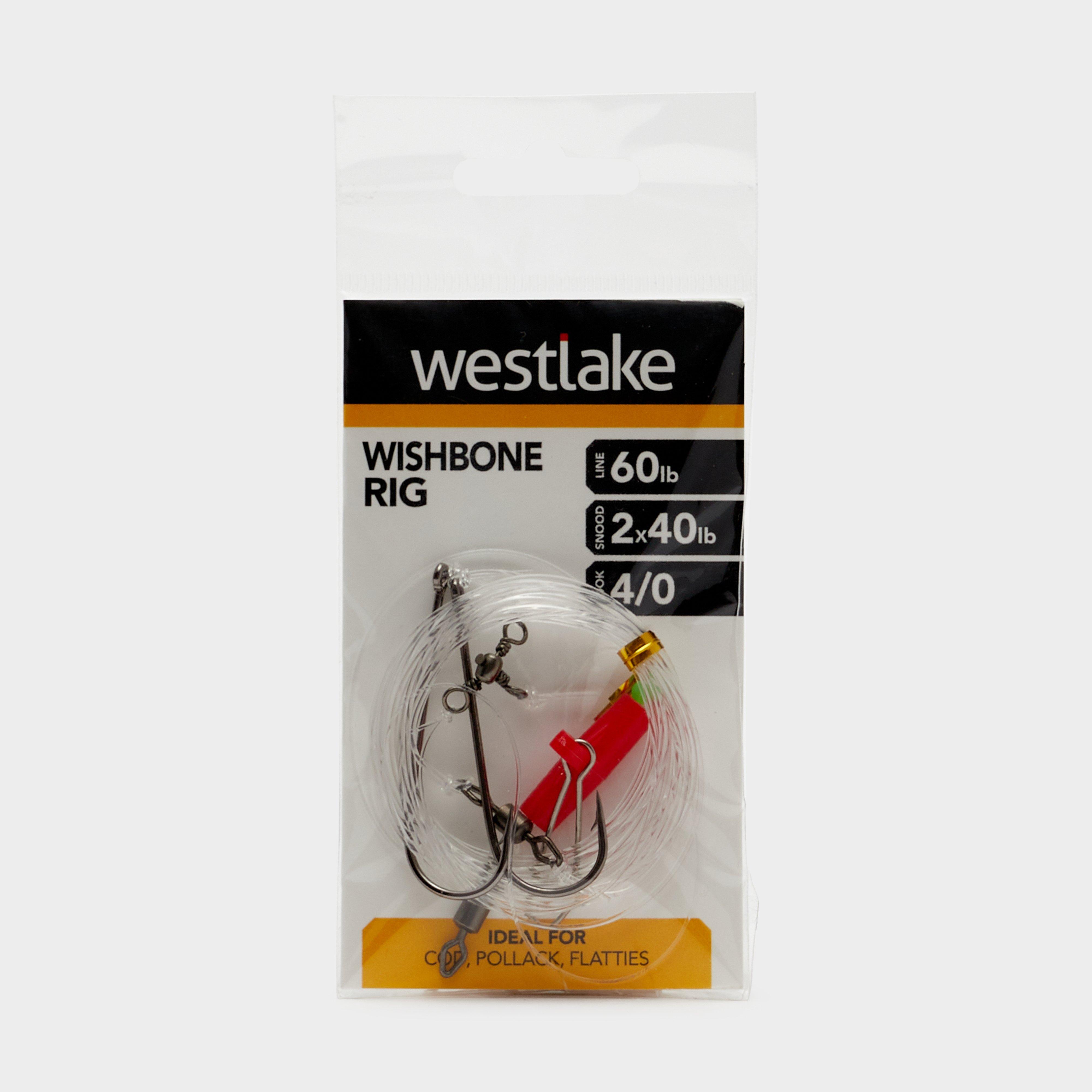 Westlake 4 Hook Sea Reflector 20 Review